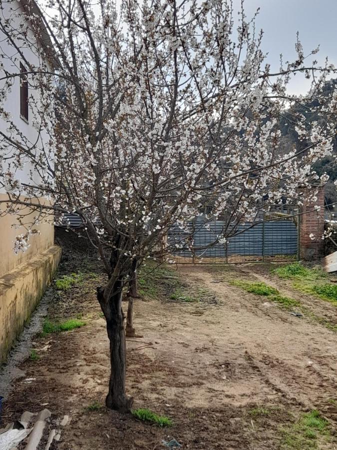 Molino Chirrion Villa Constantina Buitenkant foto
